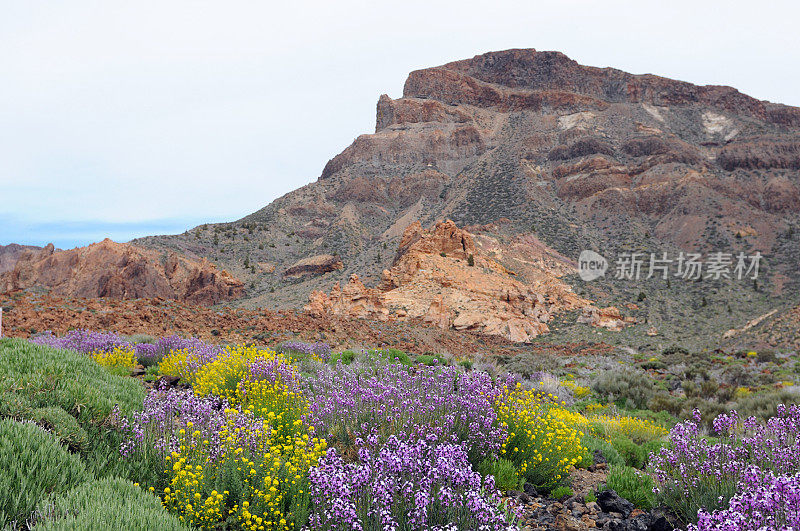 Teide国家公园和无树的Llano de Ucanca山谷。特内里费